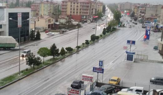 Soğuk ve Sağanak Dolu Yağışı Ağaçları Vurdu