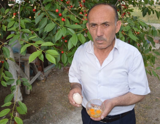 Çubuk’ta 3 Sarılı Yumurta Görenleri Şaşırttı