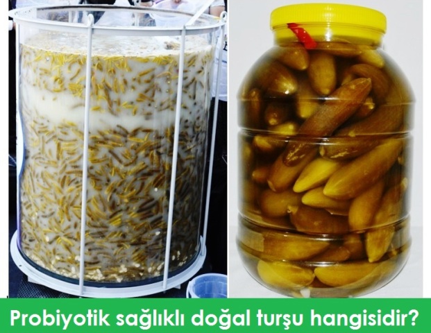 Probiyotik sağlıklı doğal turşu hangisidir?